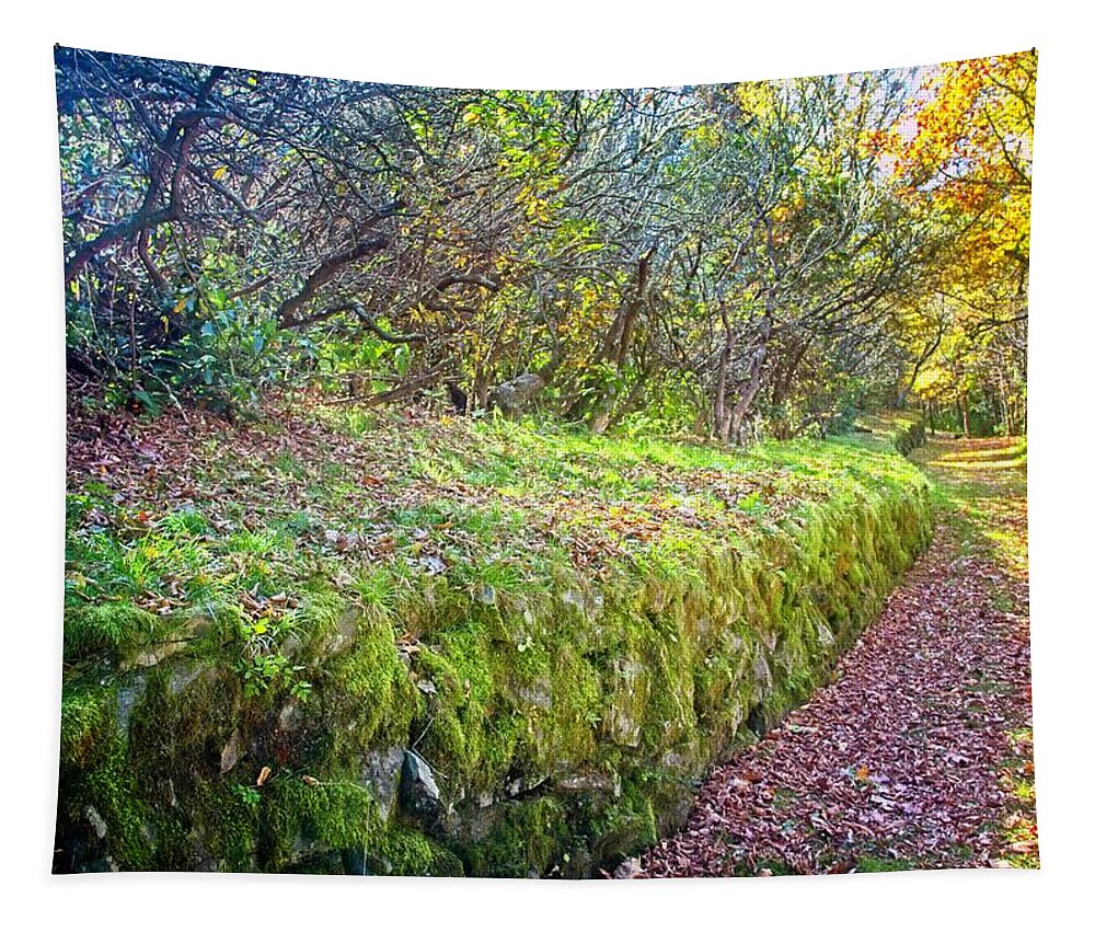 Path Tapestry featuring the photograph Good Day For A Walk by Allen Nice-Webb