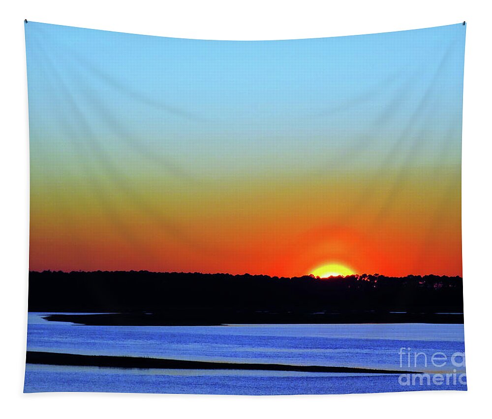 Landscape Tapestry featuring the photograph Goodnight, Hilton Head by Rick Locke - Out of the Corner of My Eye