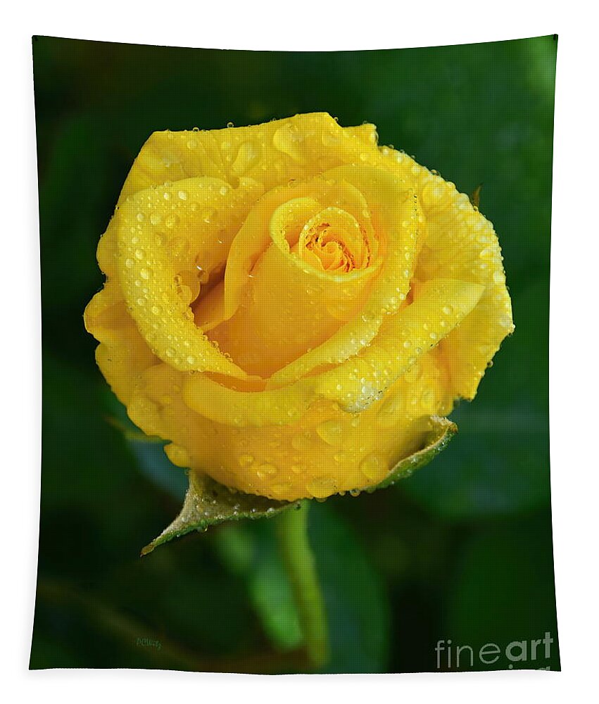 Gorgeous Misty Yellow Rose Tapestry featuring the photograph Gorgeous Misty Yellow Rose by Patrick Witz