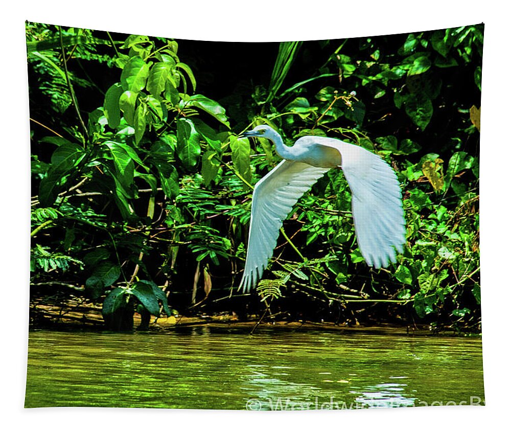 Great White Egret Tapestry featuring the photograph May You Find Peace by Leslie Struxness