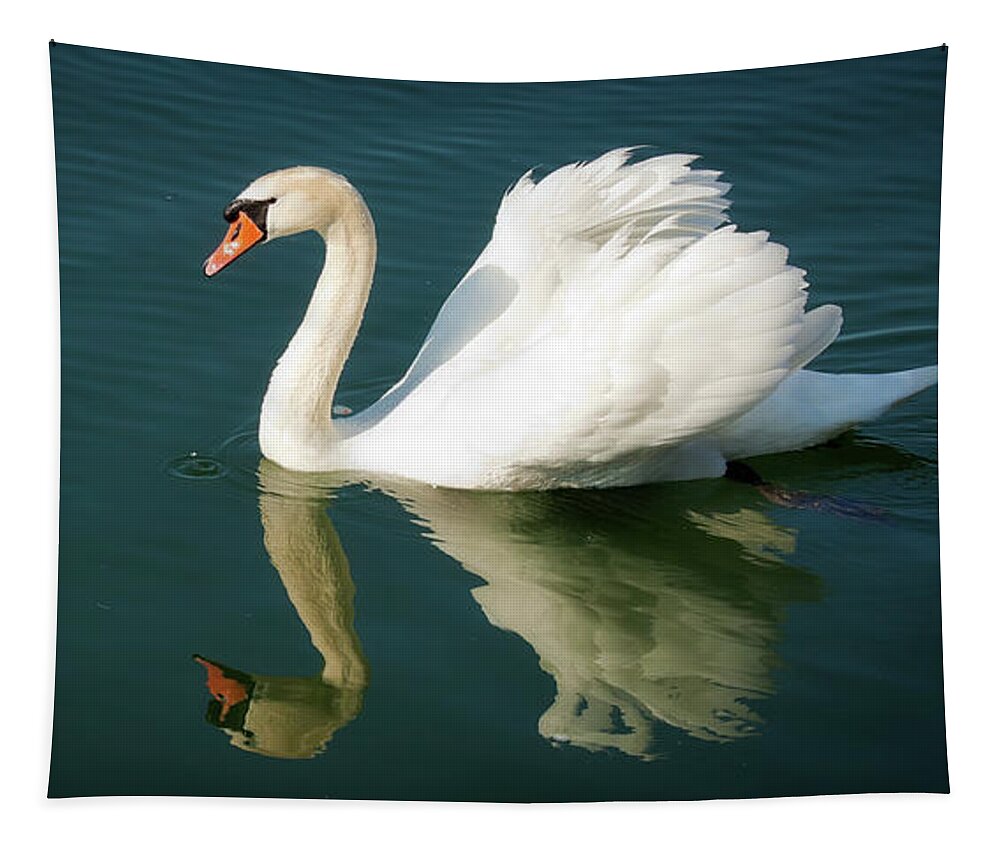 Swan Tapestry featuring the photograph Graceful white swan floating by Tatiana Travelways