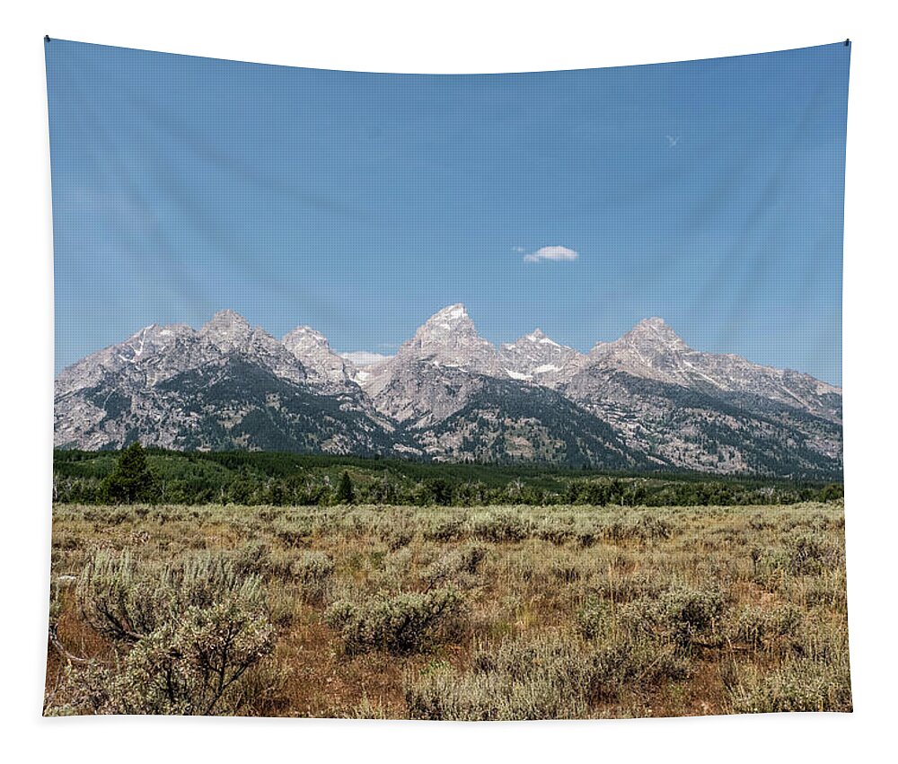 Wyoming Tapestry featuring the photograph Grand teton - Mormon row #4 by Alberto Zanoni