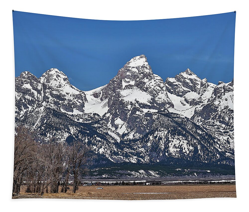 Landscape Tapestry featuring the photograph Grand Tetons by Jermaine Beckley