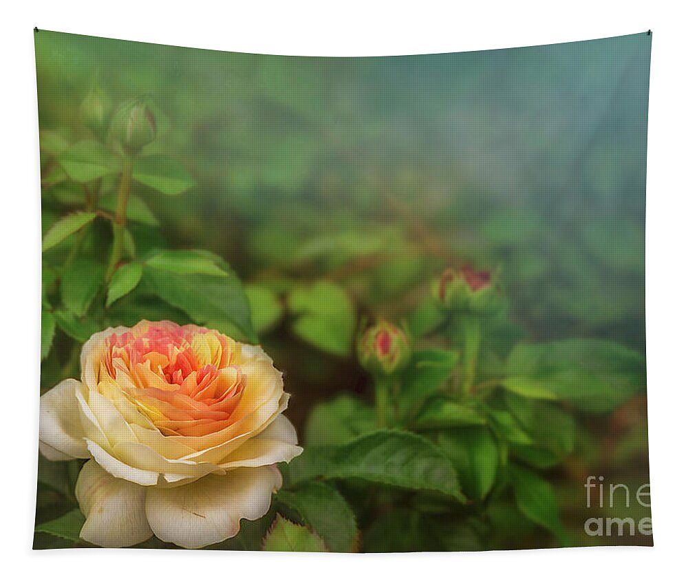 Peony Tapestry featuring the photograph Grandmother's Peonies by Shelia Hunt
