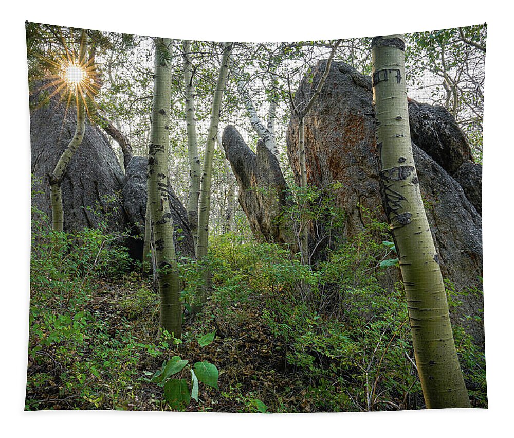 Golden Hour Tapestry featuring the photograph Granite Sentinels by Ron Long Ltd Photography