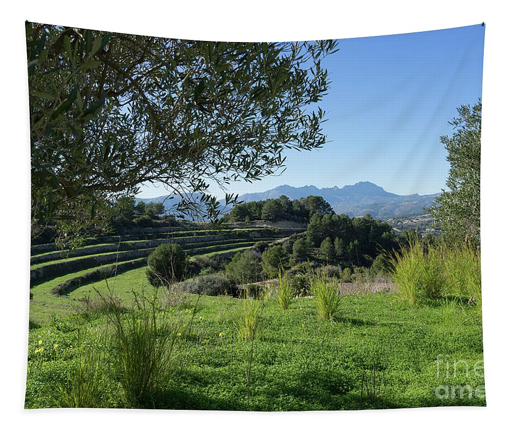 Landscape Tapestry featuring the photograph Grass and clover under the olive tree by Adriana Mueller