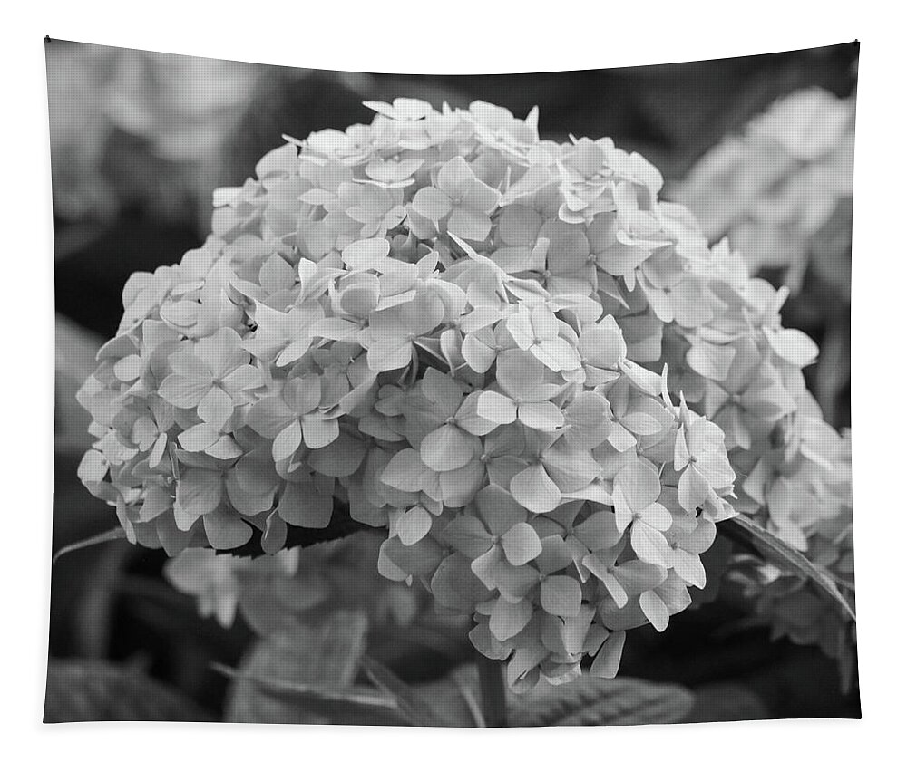 Hydrangea Tapestry featuring the photograph Grayscale Hydrangea Bloom by Mary Anne Delgado