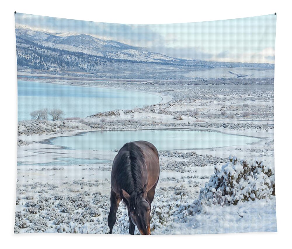 Nevada Tapestry featuring the photograph Grazing Above Washoe by Marc Crumpler