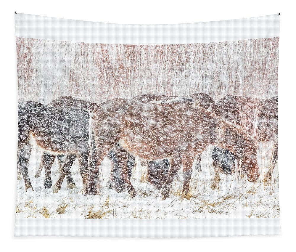 Nevada Tapestry featuring the photograph Grazing Through The Snow by Marc Crumpler