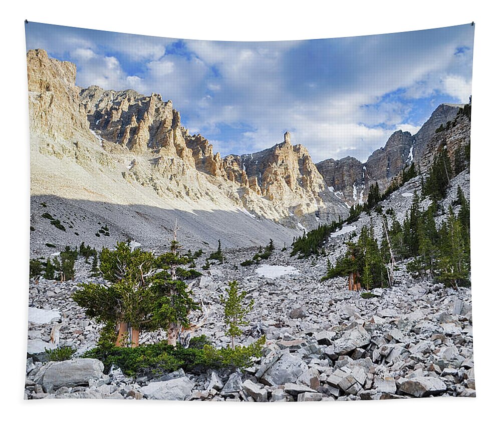 Great Basin National Park Tapestry featuring the photograph Great Basin National Park Landscape by Kyle Hanson