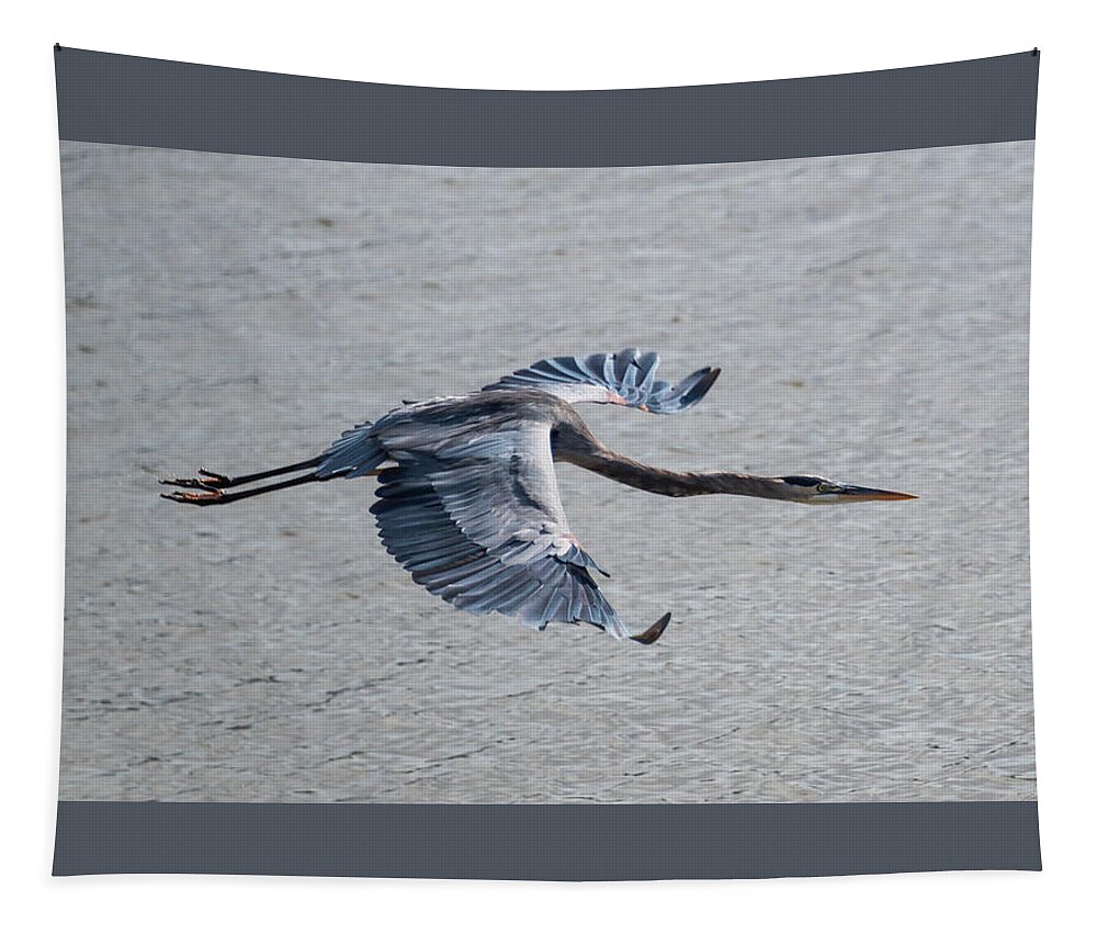 Heron Tapestry featuring the photograph Great Blue Heron In Flight by Grant Twiss
