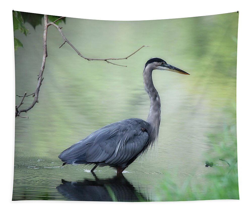 Great Tapestry featuring the photograph Great Blue Heron by Scott Burd