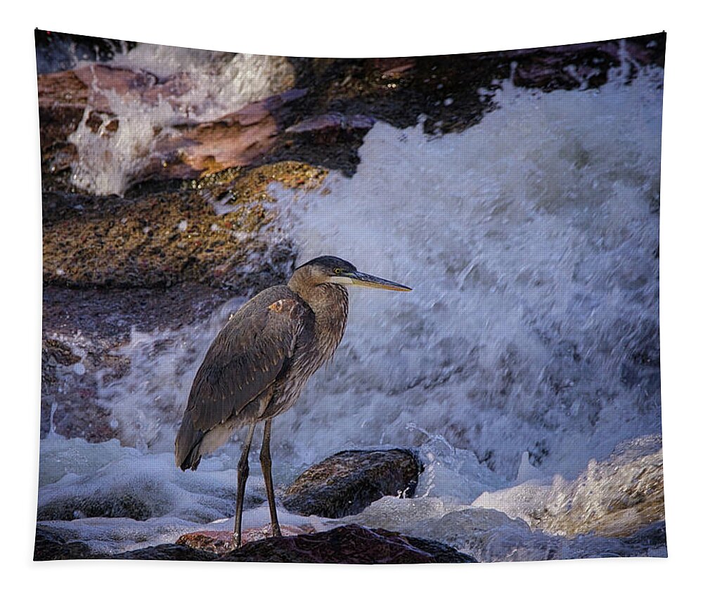 Animals Tapestry featuring the photograph Great Blue Heron Searching by Ernest Echols