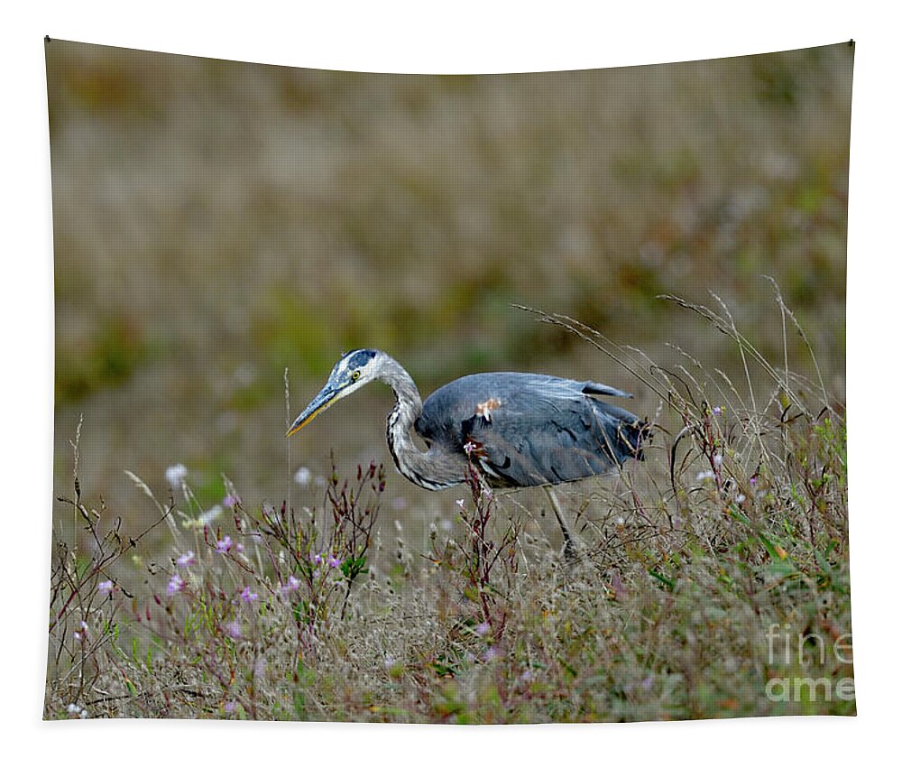 Great Blue Heron Tapestry featuring the photograph Great Blue Heron Searching for Lunch by Amazing Action Photo Video