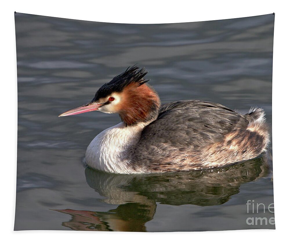 Nature Tapestry featuring the photograph Great Crested Grebe by Stephen Melia