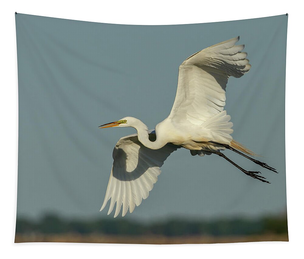 Great Egret Tapestry featuring the photograph Great Egret 2014-13 by Thomas Young