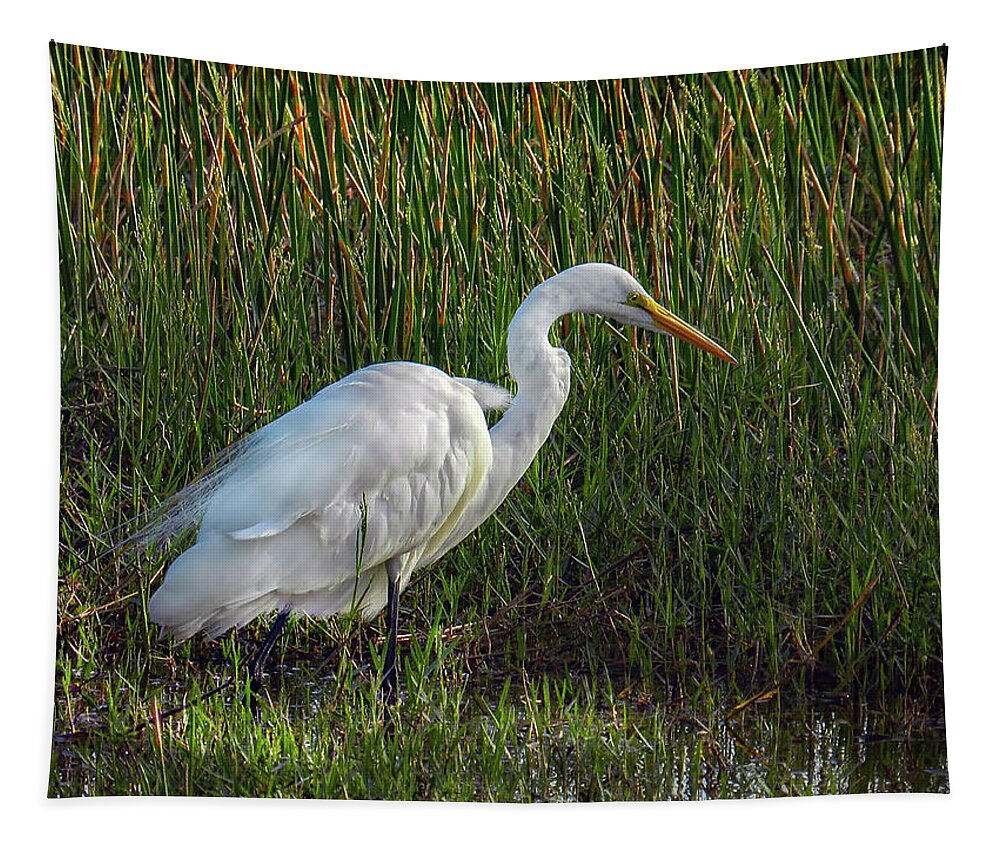 Wildlife Tapestry featuring the photograph Great Egret at Sunset by Laura Putman