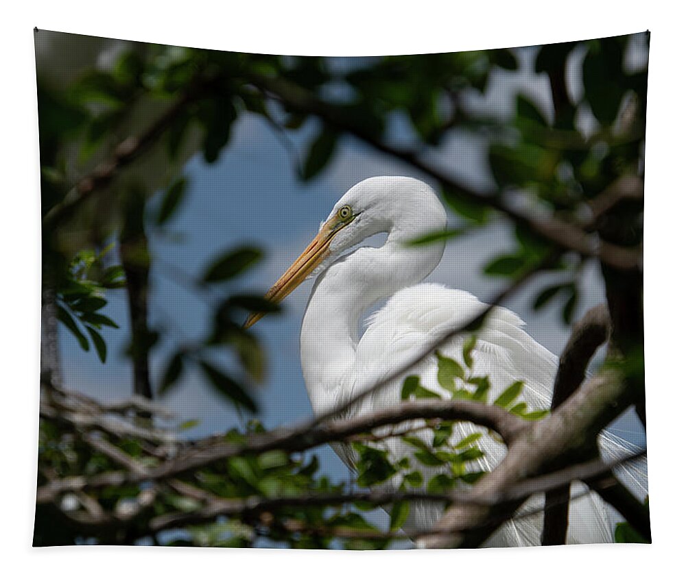 Great Tapestry featuring the photograph Great Egret by Carolyn Hutchins