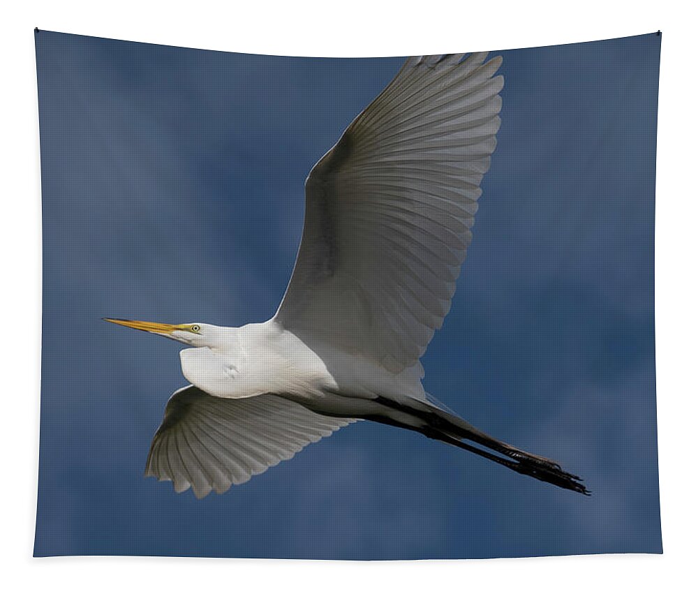 Great Tapestry featuring the photograph Great Egret in Flight by Carolyn Hutchins