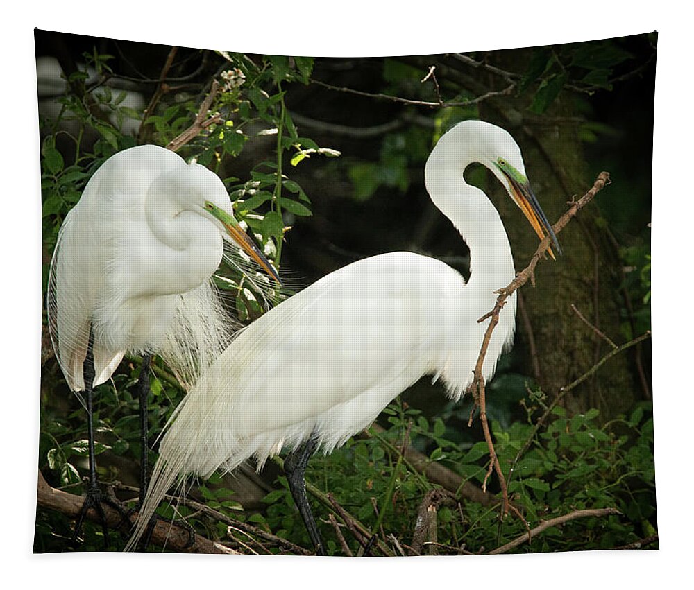 Wildlife Tapestry featuring the photograph Great Egret Pair Nest Building by Kristia Adams