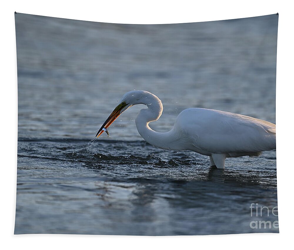 Great Egret Tapestry featuring the photograph Great Egret Swooping Down the Water to catch fish by Amazing Action Photo Video