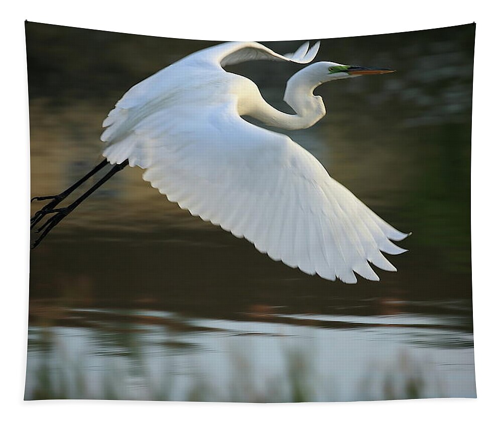 Great Egret Tapestry featuring the photograph Great Egret with Green Lore in Flight by Mingming Jiang