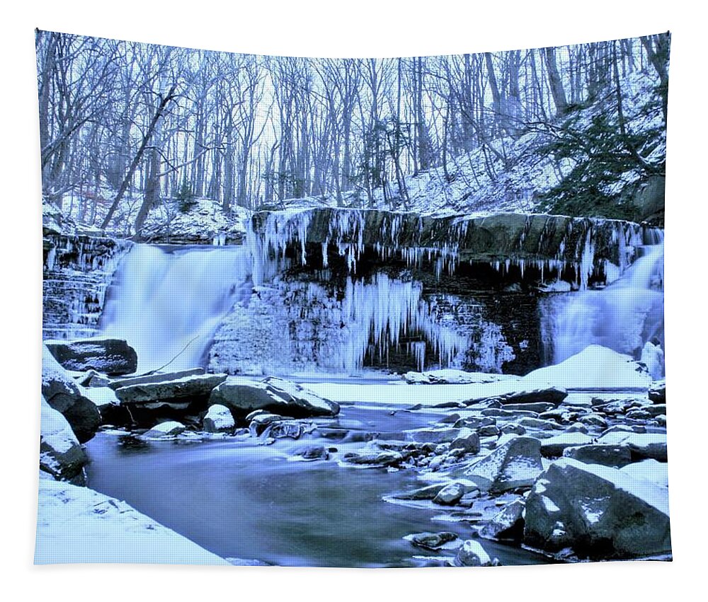  Tapestry featuring the photograph Great Falls Winter 2019 by Brad Nellis