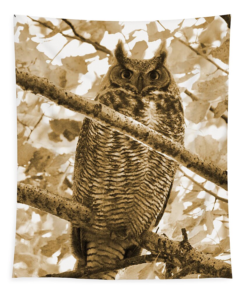 Owl Tapestry featuring the photograph Great Horned Owl in Tree - Sepia by Carol Groenen