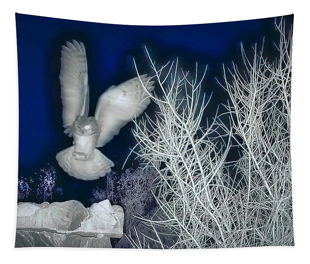 Great Horned Owl Tapestry featuring the photograph Great Horned Owl Desert Landing in the Night by Judy Kennedy