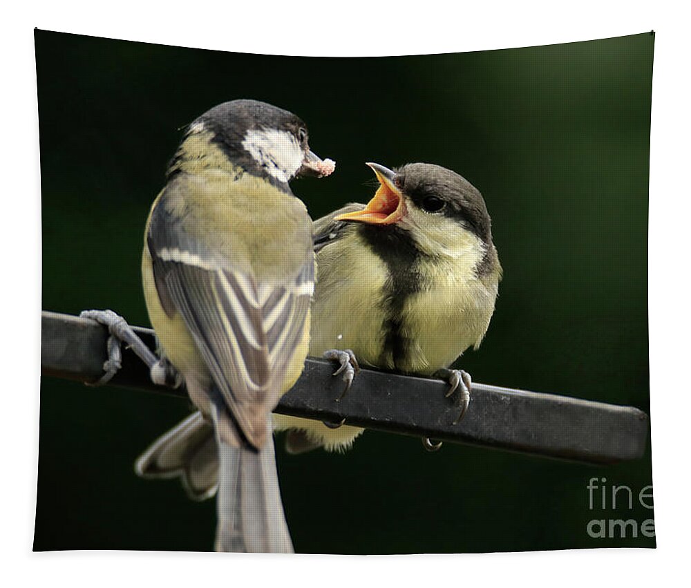 Great Tits Tapestry featuring the photograph Great Tit's Lunch Time by Terri Waters