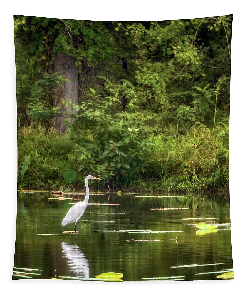 Great Egret Tapestry featuring the photograph Great White Egret - Crab Orchard Lake by Susan Rissi Tregoning