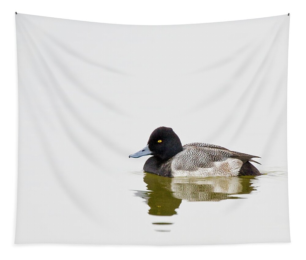 Greater Scaup Tapestry featuring the photograph Greater Scaup Duck on Lake Mattmuskeet by Bob Decker