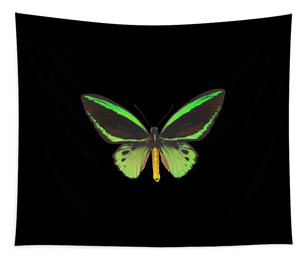 Green Butterfly Tapestry featuring the digital art Green Butterfly Gifts by Caterina Christakos