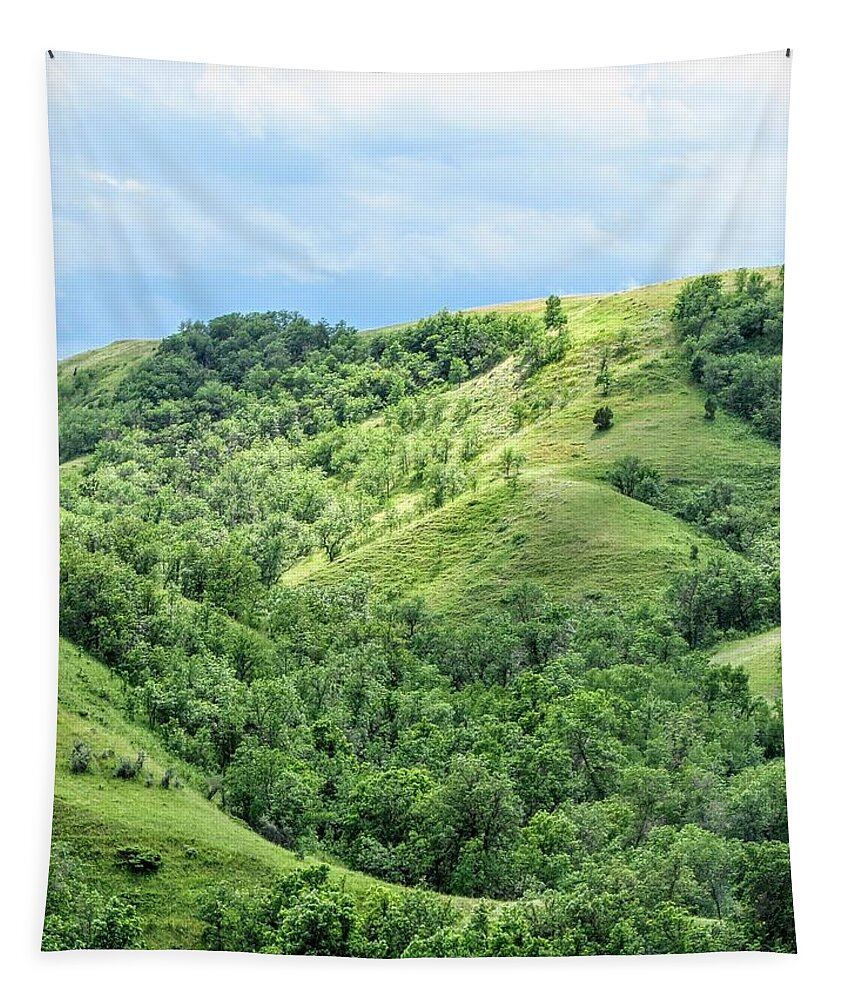 Badlands Tapestry featuring the photograph Green Cooley by Amanda R Wright