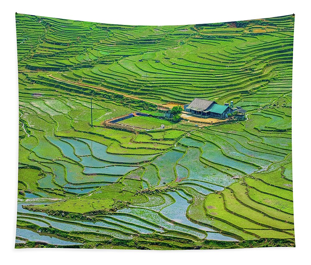 Black Tapestry featuring the photograph Green Field Terraces by Arj Munoz