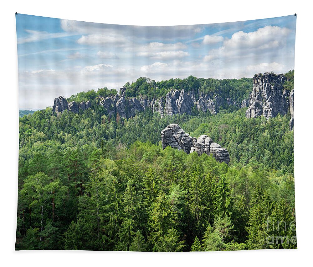 Elbe Sandstone Mountains Tapestry featuring the photograph Green forest and sandstones in the Bastei area, Saxon Switzerland by Adriana Mueller