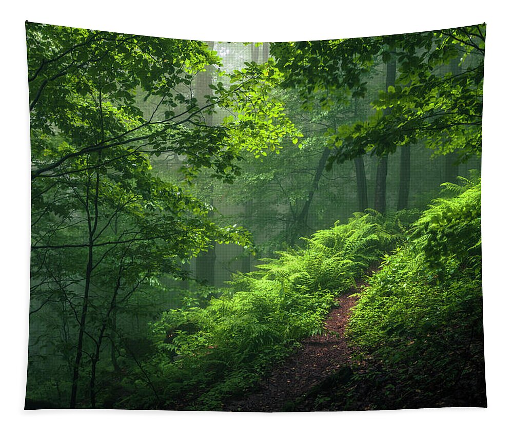 Mountain Tapestry featuring the photograph Green Forest by Evgeni Dinev