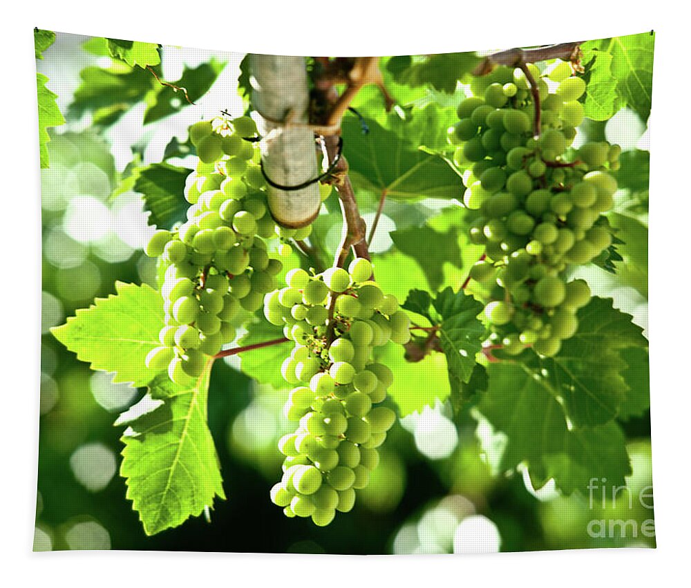 Grape Tapestry featuring the photograph Green Grapes by Rich S