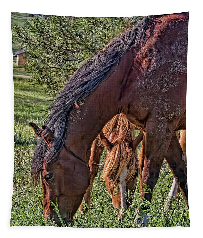 Horses Tapestry featuring the photograph Green Grass and Mud by Alana Thrower