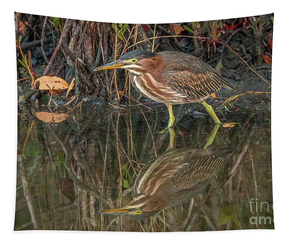 Heron Tapestry featuring the photograph Green Heron Reflection by Tom Claud