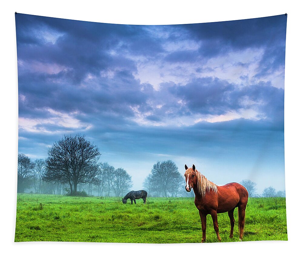 Fog Tapestry featuring the photograph Green Morn by Evgeni Dinev