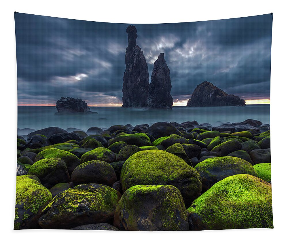 Abstract Tapestry featuring the photograph Green Stones by Evgeni Dinev