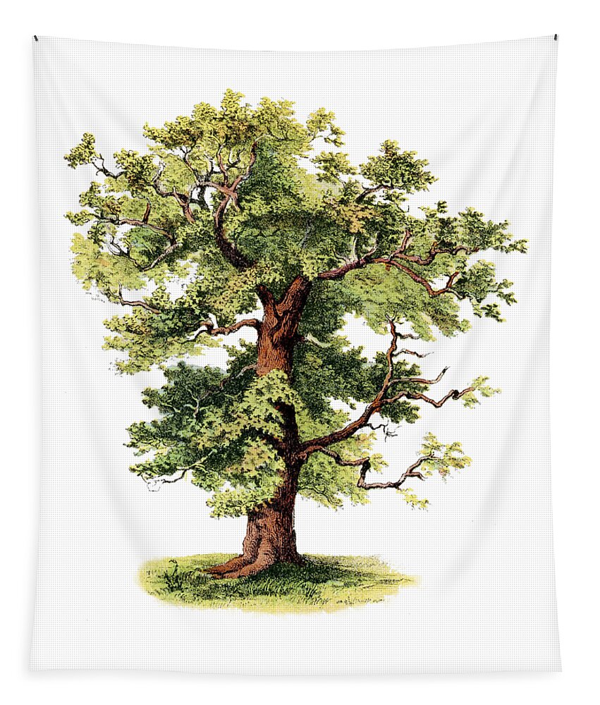 Oak Tapestry featuring the digital art Green Strength by Madame Memento