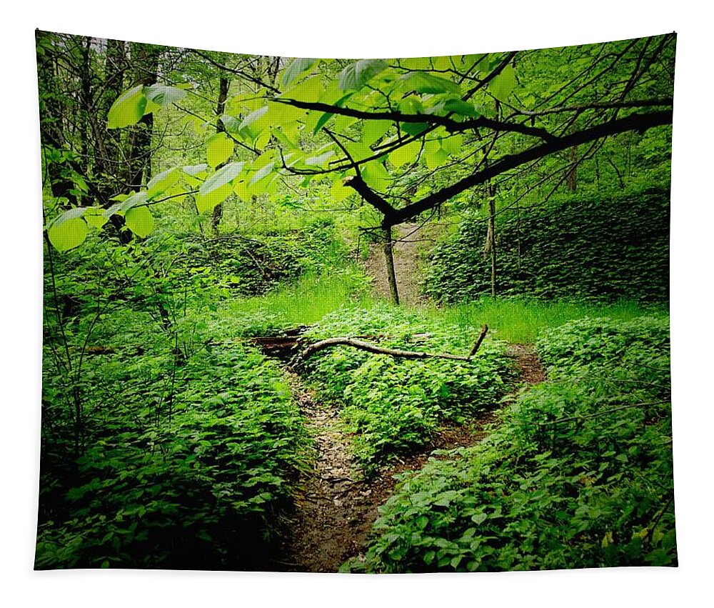 Indiana Tapestry featuring the photograph Green Trails by Tim Kuret