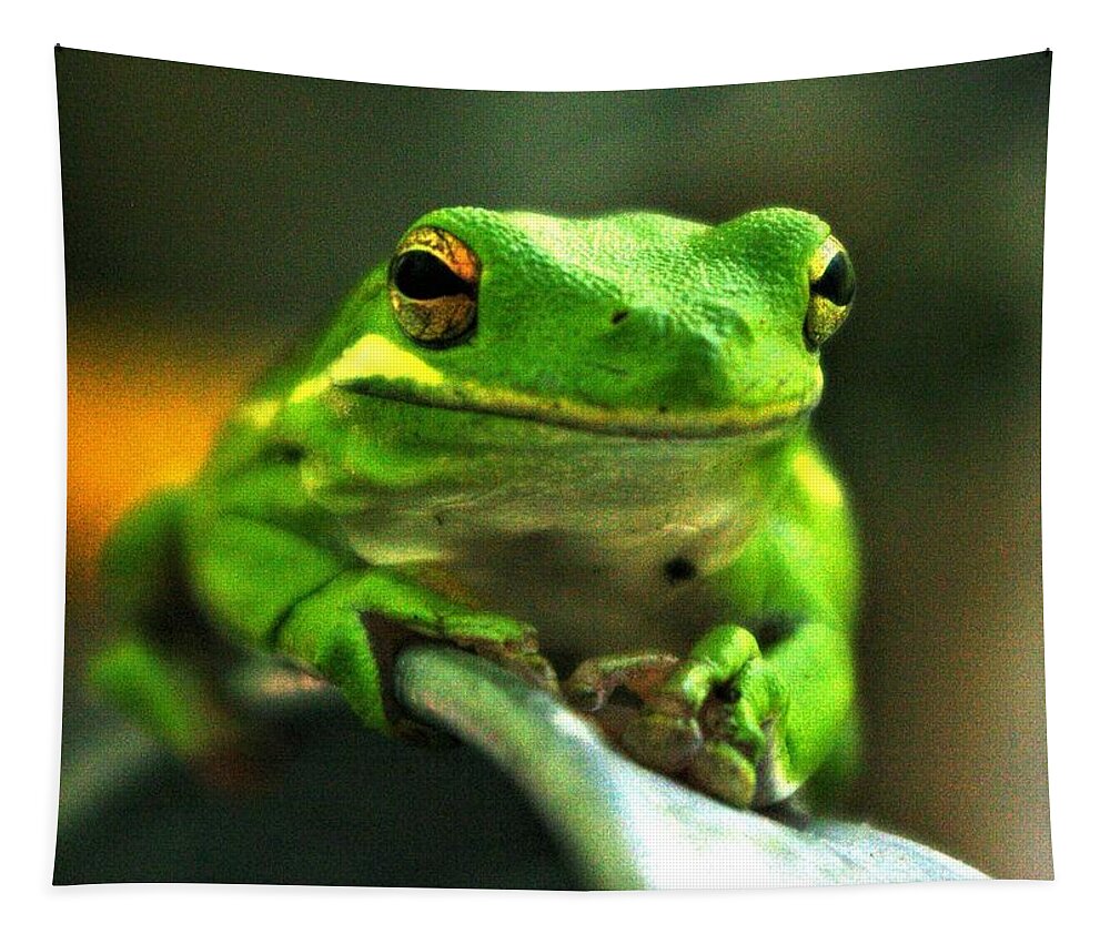 Frog Tapestry featuring the photograph Green Tree Frog by Bess Carter
