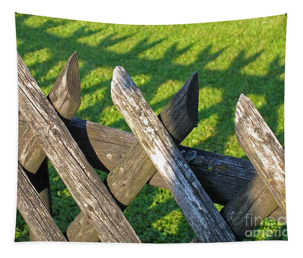 Fence Tapestry featuring the photograph Greener on the Other Side by Ann Horn