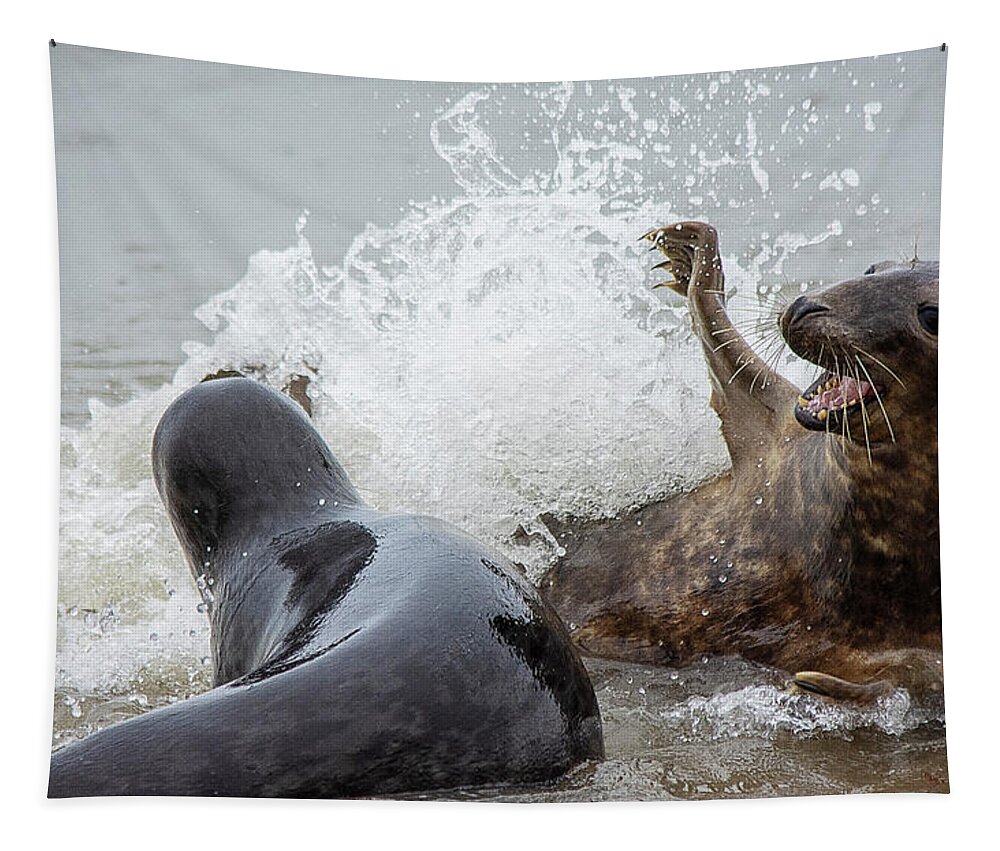 Grey Seals Tapestry featuring the photograph Grey Seals splashing about 2 by Gareth Parkes