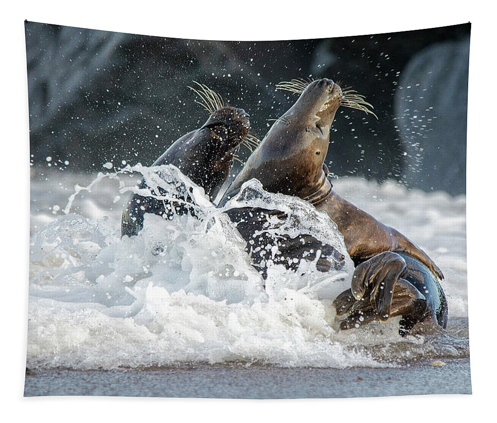 Grey Seals Tapestry featuring the photograph Grey Seals splashing about by Gareth Parkes