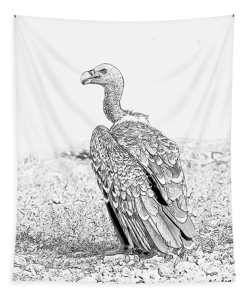 African Wildlife Sketch Tapestry featuring the digital art Griffon Vulture by Larry Linton
