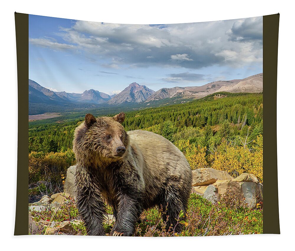 Adult Tapestry featuring the photograph Grizzly Bear in Glacier National Park by Jeff Goulden